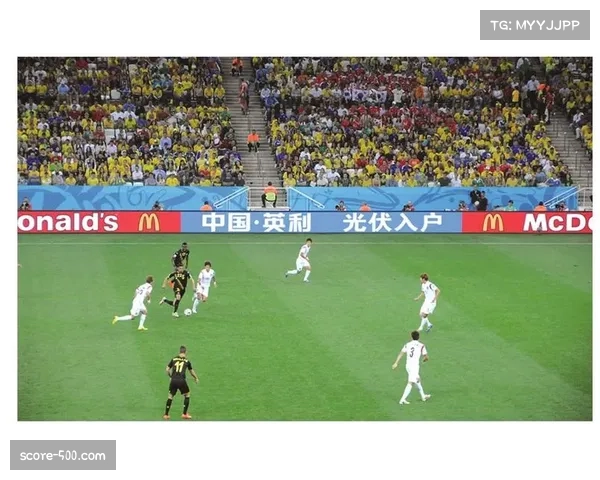 中国企业对赞助体系参与度提高 区域赞助商概念首次引入